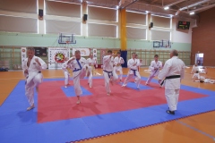 KP_05504_m
