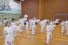 KP_05690_m