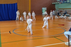 IMG_20240615_104241