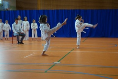 DSC00906