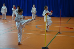 DSC00945