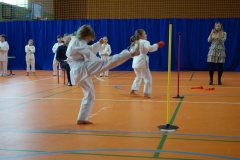 DSC00951