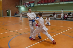 KP_04891_m