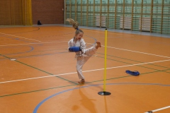 KP_05051_m