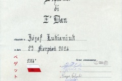 1.Dan_dyplom_dw