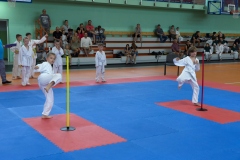 KP_04123_m