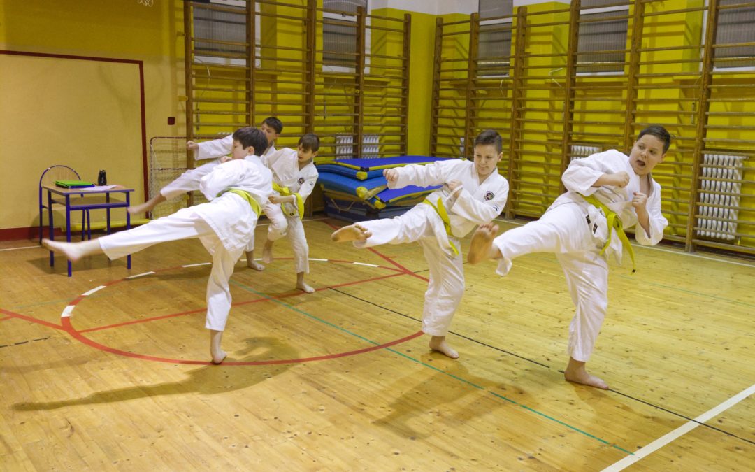 Egzamin na stopnie karate