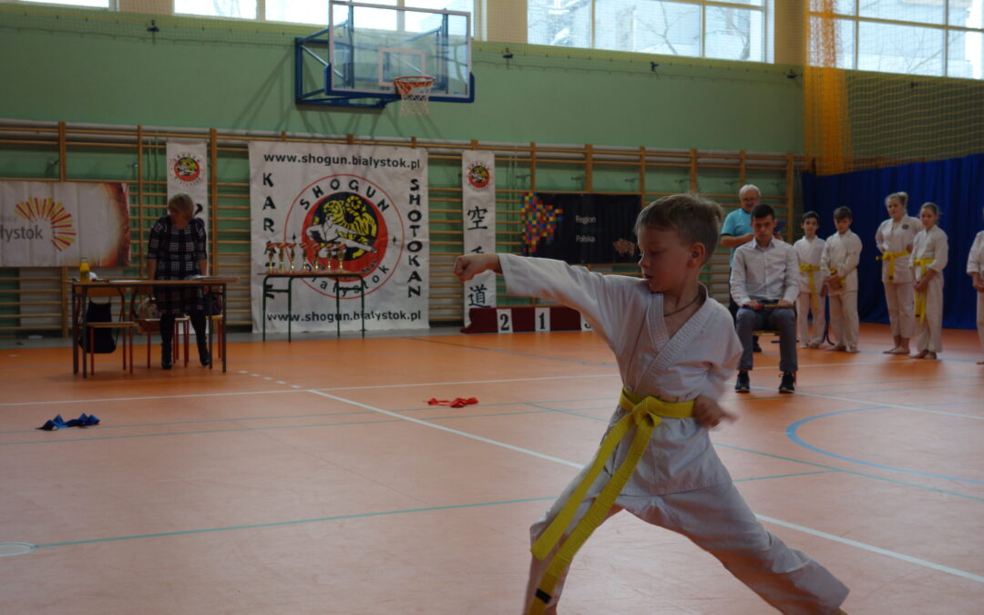 Gwiazdkowy Turniej Karate