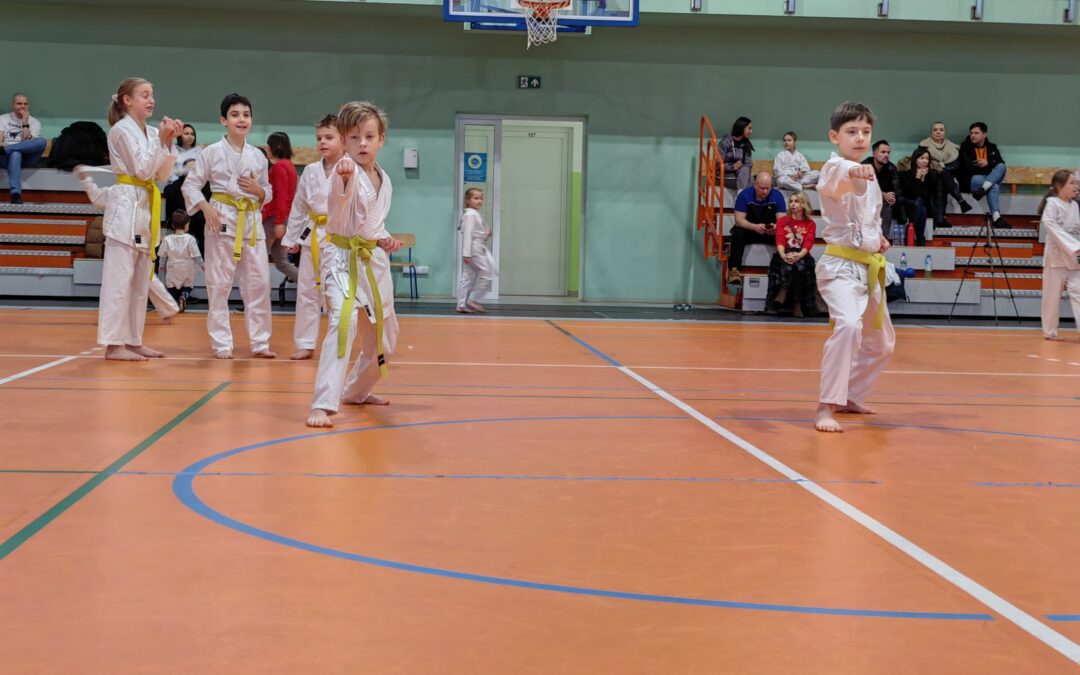 Gwiazdkowy Turniej Karate – fotorelacja